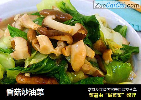 香菇炒油菜封面圖