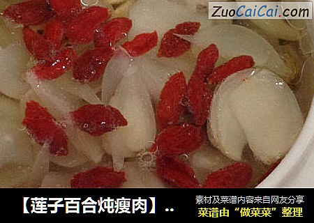 【蓮子百合炖瘦肉】----滋潤養生湯封面圖