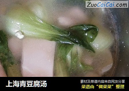 上海青豆腐湯封面圖