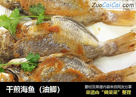 幹煎海魚（油鲫）封面圖
