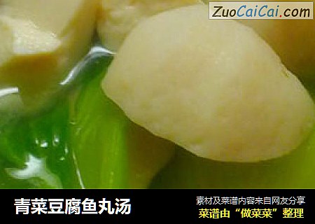 青菜豆腐魚丸湯封面圖