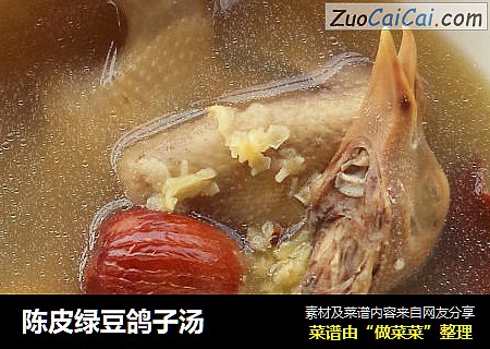 陳皮綠豆鴿子湯封面圖