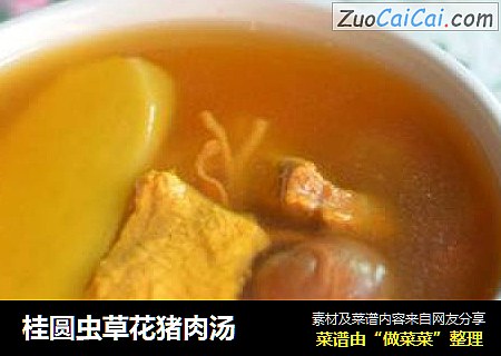 桂圆虫草花猪肉汤