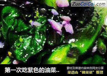 第一次吃紫色的油菜---蒜泥油菜封面圖