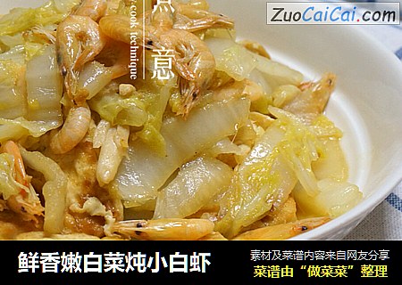 鮮香嫩白菜炖小白蝦封面圖