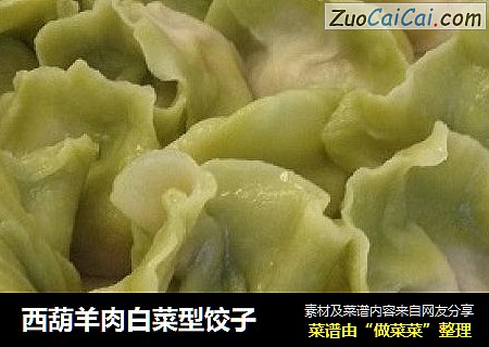 西葫羊肉白菜型饺子