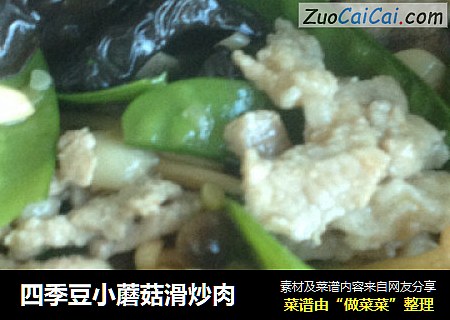 四季豆小蘑菇滑炒肉封面圖