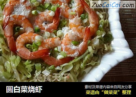 圓白菜燒蝦封面圖