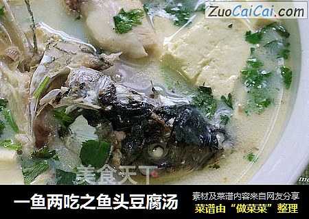 一魚兩吃之魚頭豆腐湯封面圖