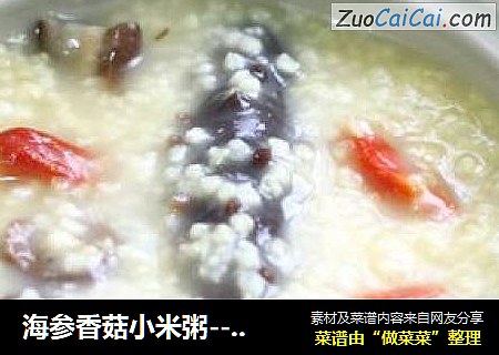 海参香菇小米粥----海参最平民最营养的吃法