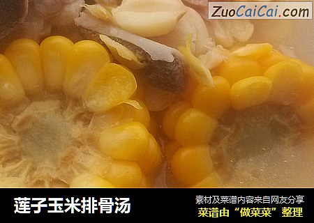 蓮子玉米排骨湯封面圖