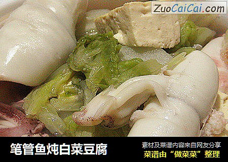 筆管魚炖白菜豆腐封面圖