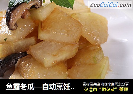 鱼露冬瓜—自动烹饪锅食谱