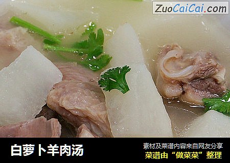 白蘿蔔羊肉湯封面圖