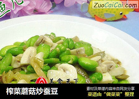 榨菜蘑菇炒蚕豆