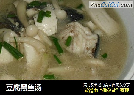 豆腐黑魚湯封面圖