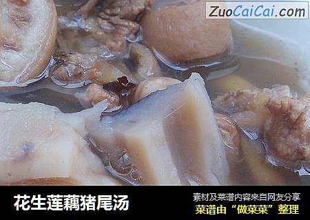 花生莲藕猪尾汤