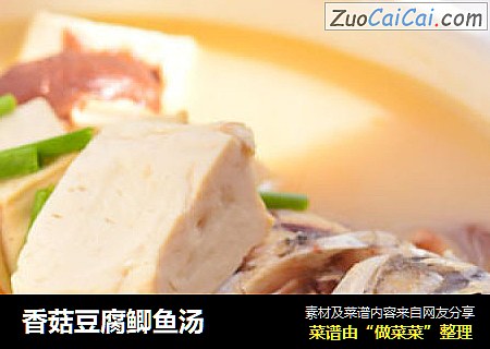 香菇豆腐鲫魚湯封面圖