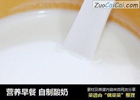 營養早餐 自製酸奶封面圖