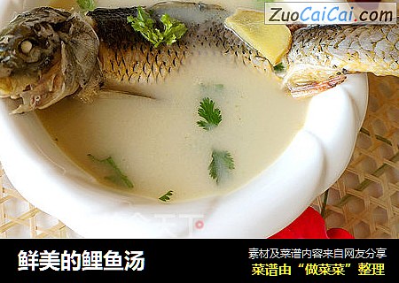 鲜美的鲤鱼汤