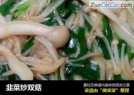 韭菜炒雙菇封面圖