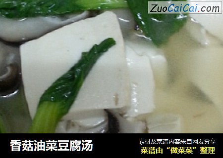 香菇油菜豆腐湯封面圖