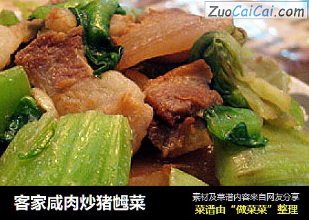 客家鹹肉炒豬乸菜封面圖