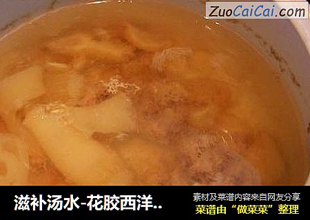 滋補湯水-花膠西洋參炖瘦肉湯封面圖