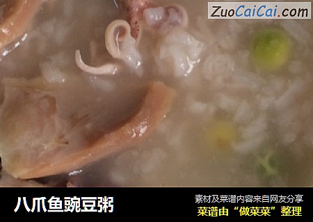 八爪魚豌豆粥封面圖