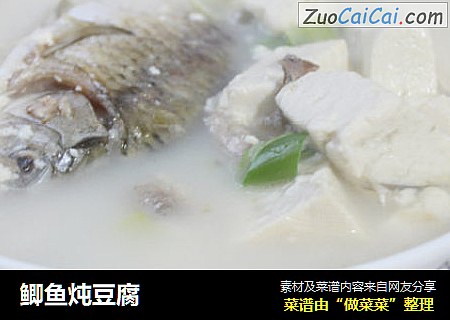 鲫魚炖豆腐封面圖