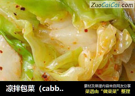 涼拌包菜（cabbage）封面圖