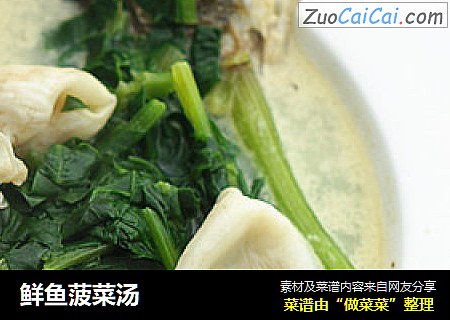 鮮魚菠菜湯封面圖
