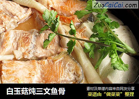 白玉菇炖三文鱼骨