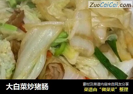大白菜炒豬腸封面圖