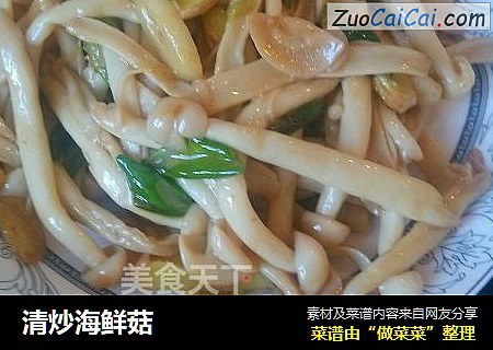 清炒海鮮菇封面圖