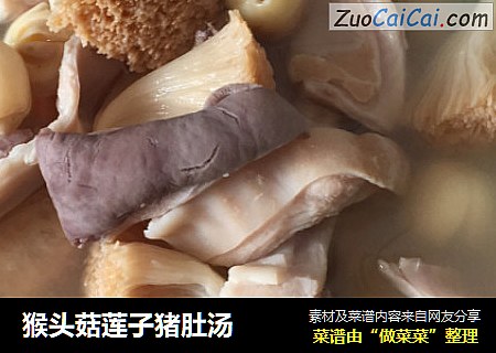 猴头菇莲子猪肚汤