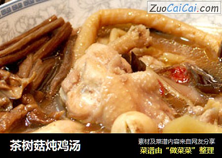 茶樹菇炖雞湯封面圖