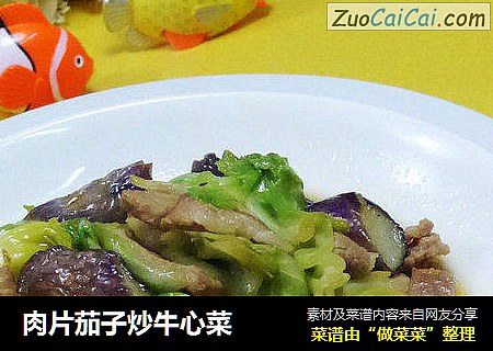 肉片茄子炒牛心菜