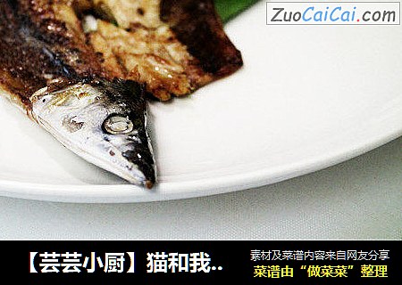 【芸芸小廚】貓和我都想了解的——秋刀魚滋味封面圖