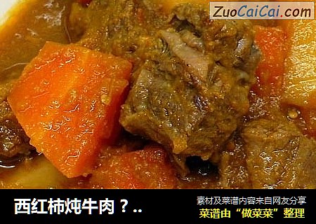 西红柿炖牛肉 ? 炖牛肉 4