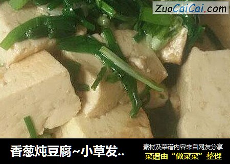 香葱炖豆腐~小草发绿芽