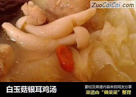 白玉菇银耳鸡汤