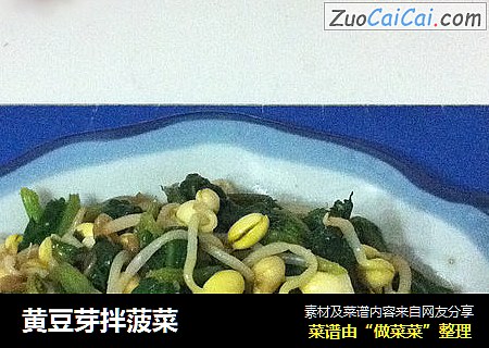 黃豆芽拌菠菜封面圖