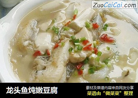 龍頭魚炖嫩豆腐封面圖