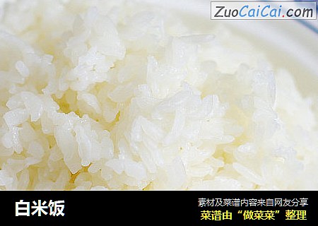 白米飯封面圖