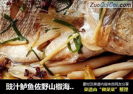 豉汁鲈魚佐野山椒海鮮菇封面圖