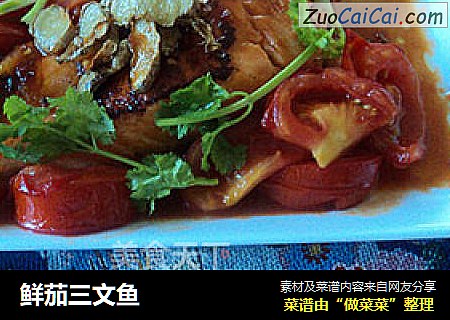鮮茄三文魚封面圖