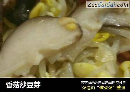 香菇炒豆芽封面圖