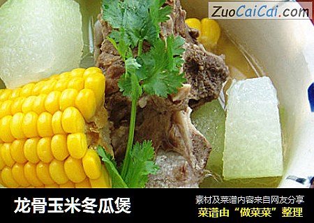 龍骨玉米冬瓜煲封面圖