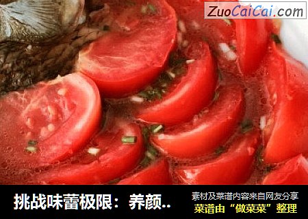 挑戰味蕾極限：養顔番茄鲫魚湯的任性吃法封面圖